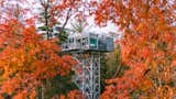 This off-grid retreat is quite literally nestled among the treetops in  Epworth, Georgia.